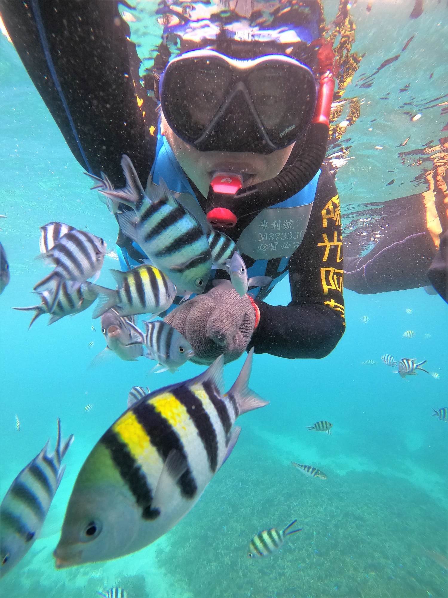 澎湖旅遊-專業浮潛